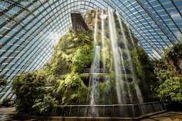 Cloud Forest Singapore